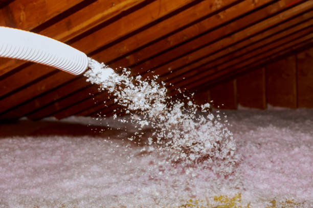 Best Types of Insulation in Fair Oaks, CA