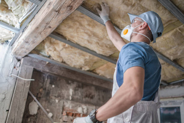 Best Insulation Maintenance and Repair in Fair Oaks, CA